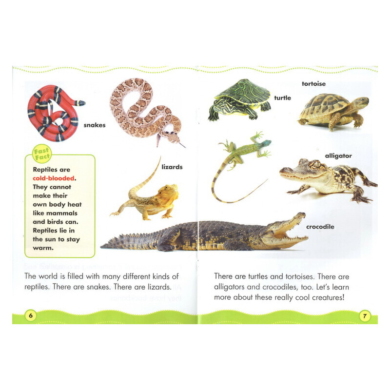 英文原版 Scholastic Science Vocabulary Readers Animal Groups 6冊合售 動物 兒童科普繪本 學樂 贈指導手冊